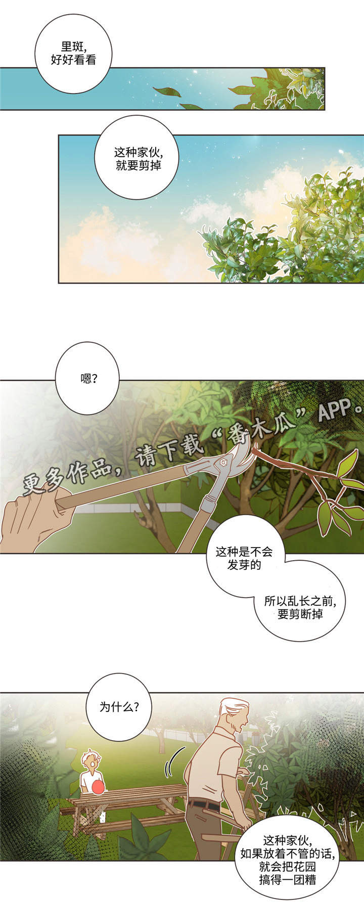 蛇妖漫画,第68章：什么关系2图