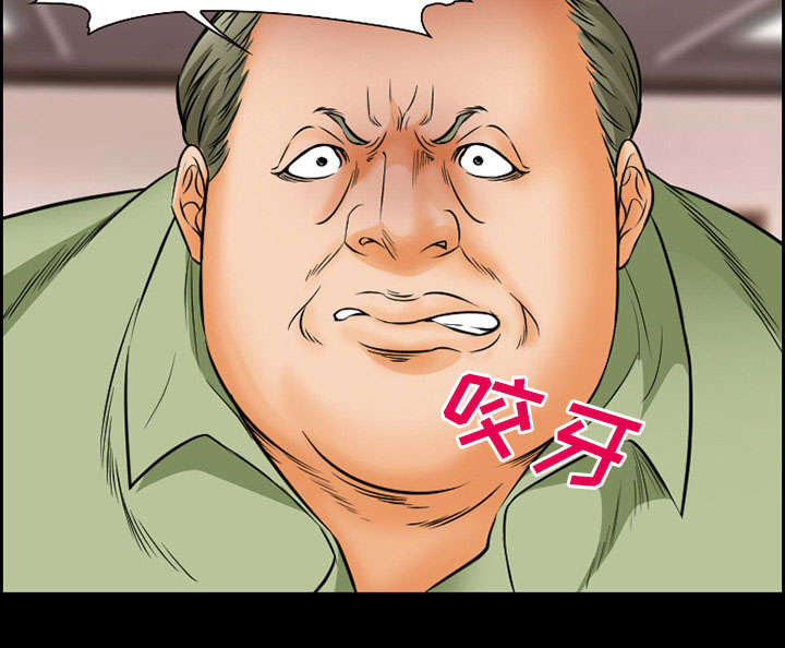黄雀鸟哪个品种最好漫画,第20章：计划1图