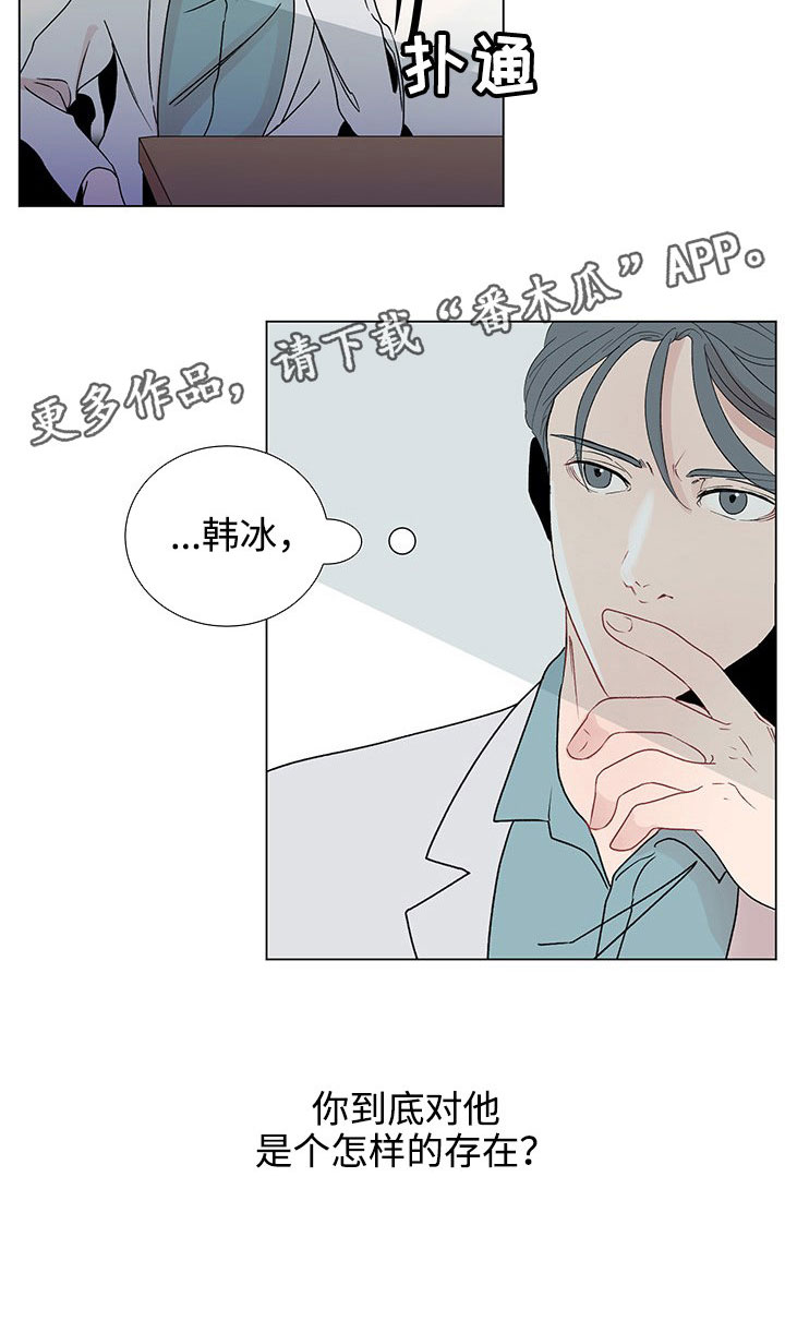 商谈赢家杯属于几级比赛漫画,第38章：特别的存在3图