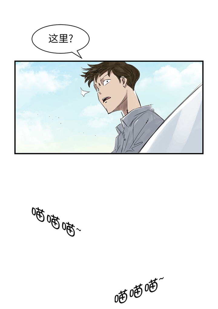 都市兽种漫画,第78章：刺杀行动4图