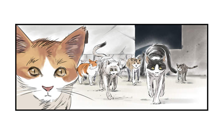 都市兽种漫画,第23章：属于兽种的战役2图