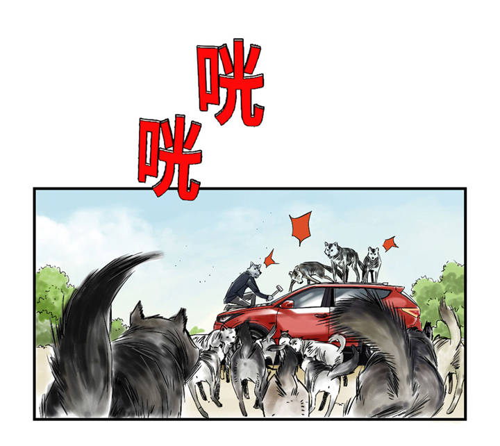都市动物医学漫画,第37章：赌上警察生涯1图