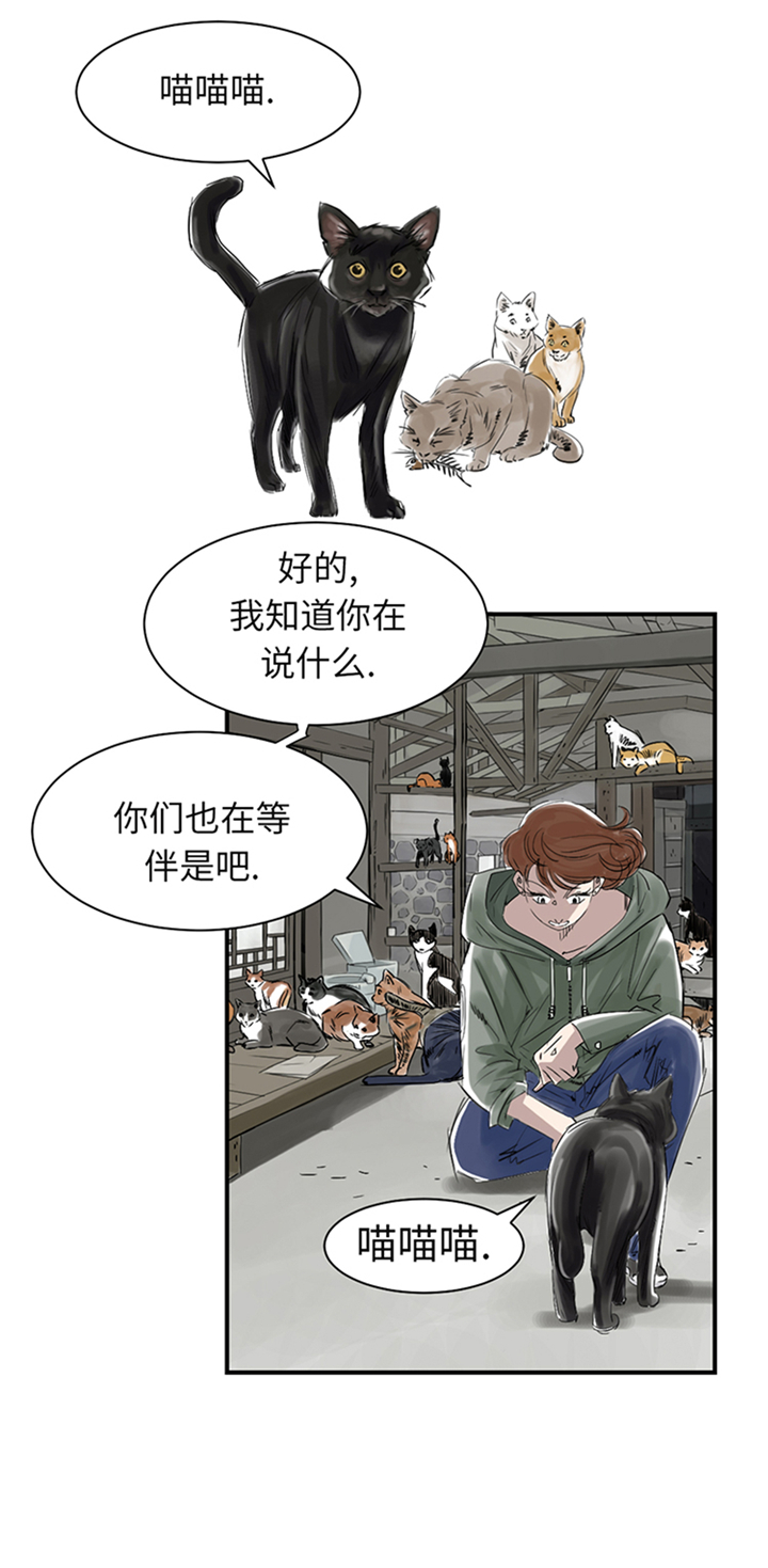 都市兽种漫画,第78章：刺杀行动1图