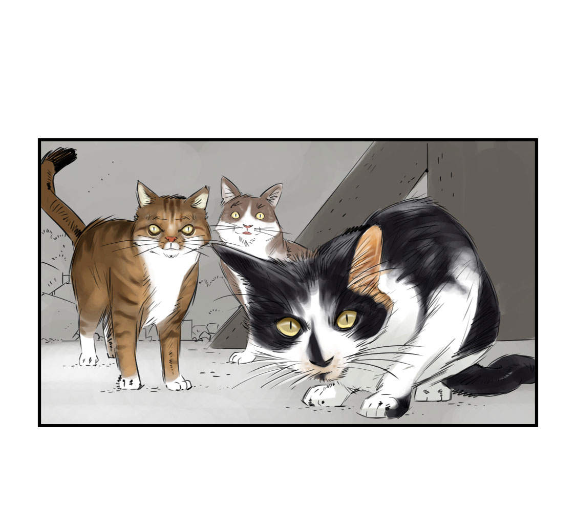 都市小说漫画,第4章：兽种 伴1图