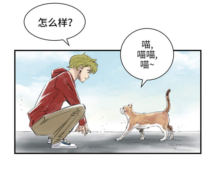 都市小说漫画,第24章：持续的杀人事件2图