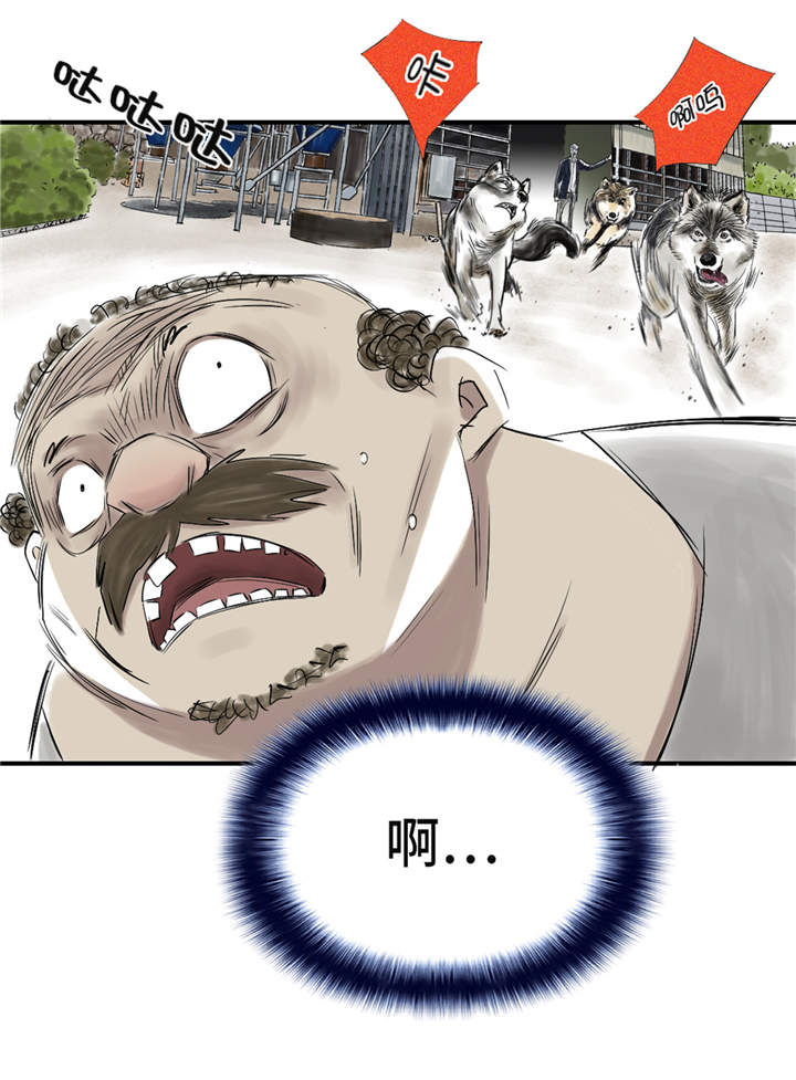 都市兽种漫画,第31章：农场遇袭4图