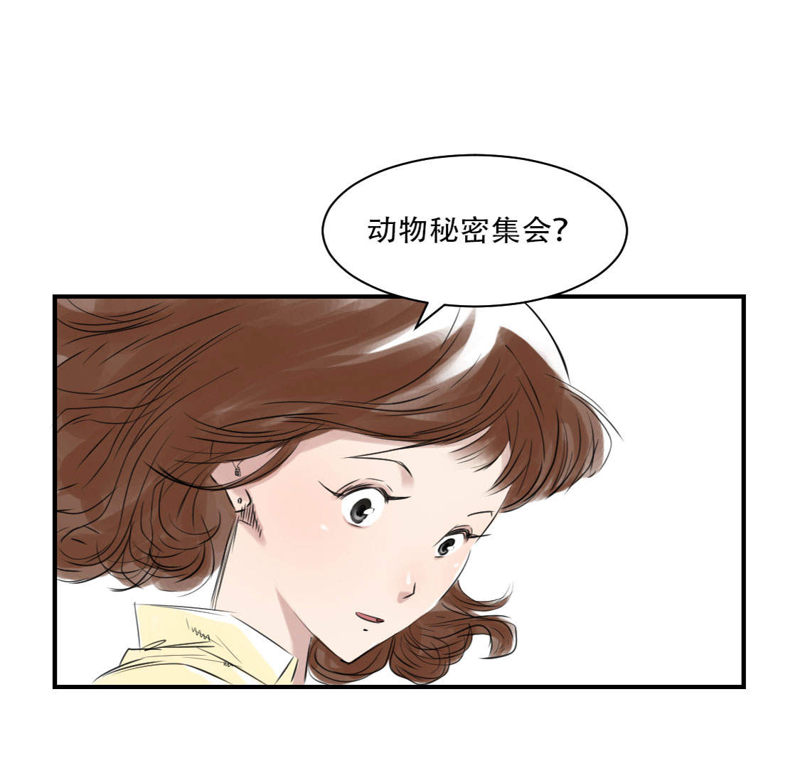都市兽种漫画,第10章：消失的动物4图
