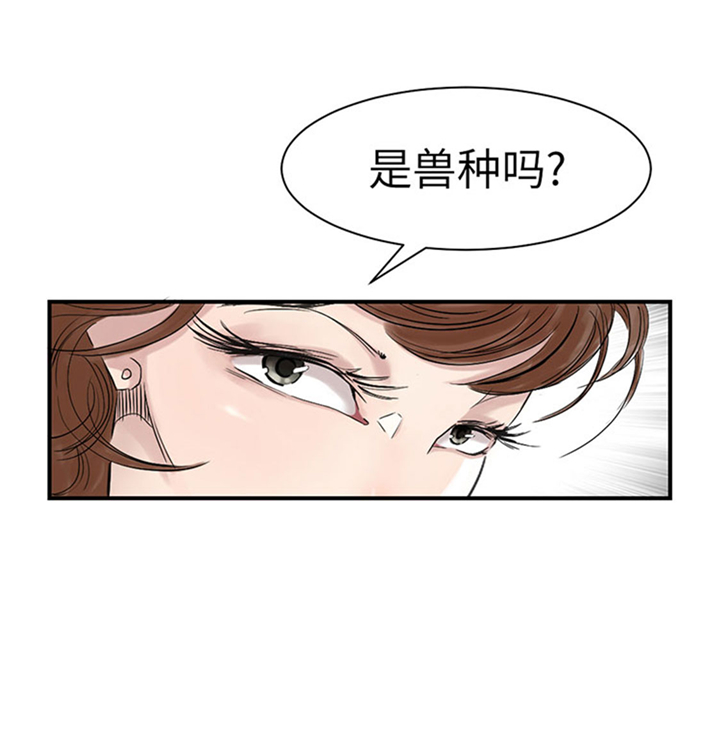 都市小说漫画,第71章：不知死活1图