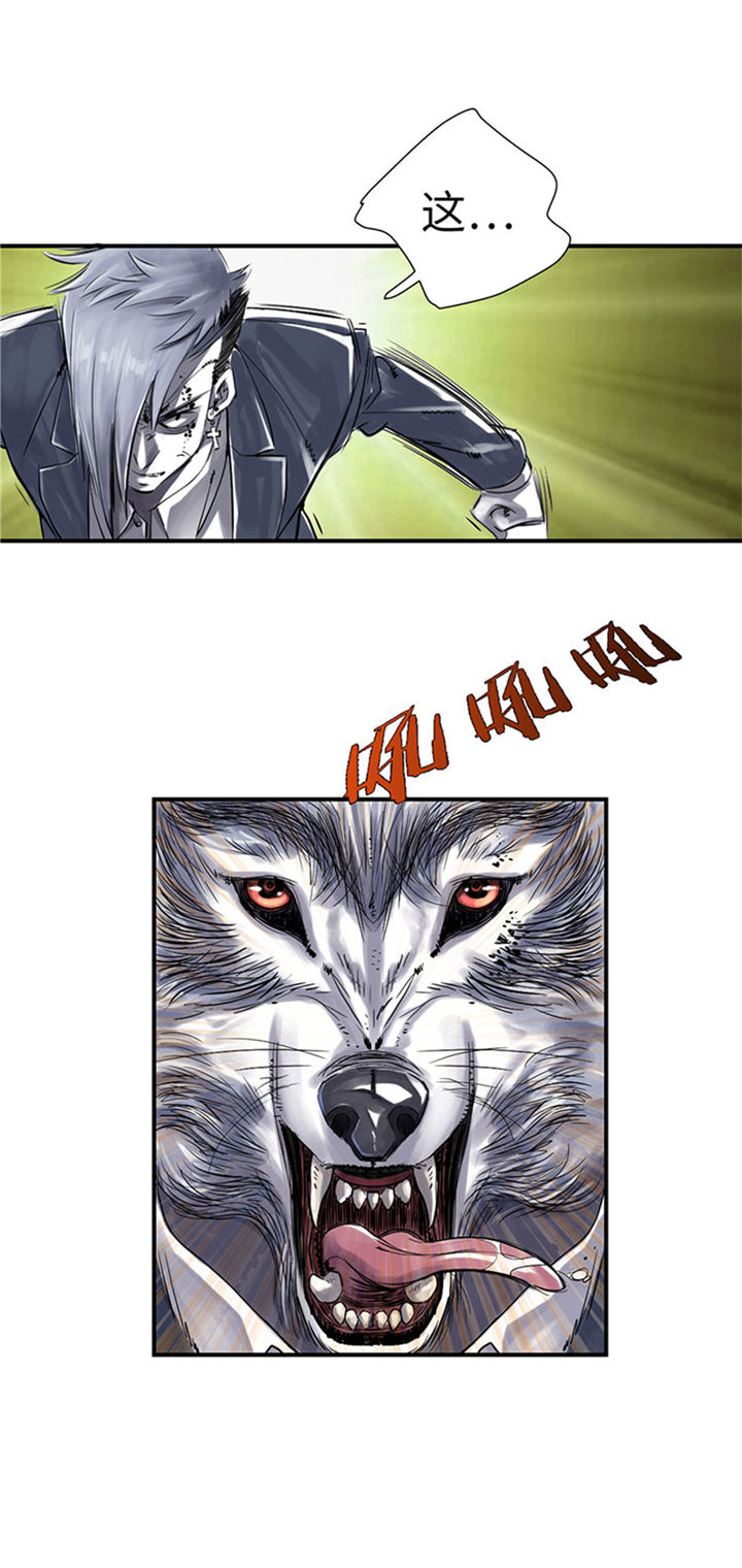 都市兽种漫画,第66章：押回去5图
