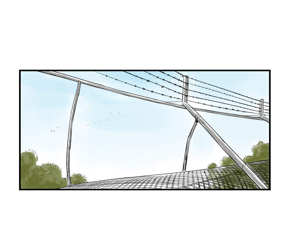 欢迎来种付都市漫画,第10章：消失的动物3图