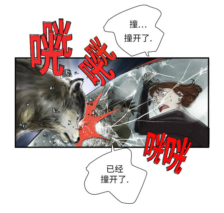都市妖兽灵兽漫画,第37章：赌上警察生涯3图