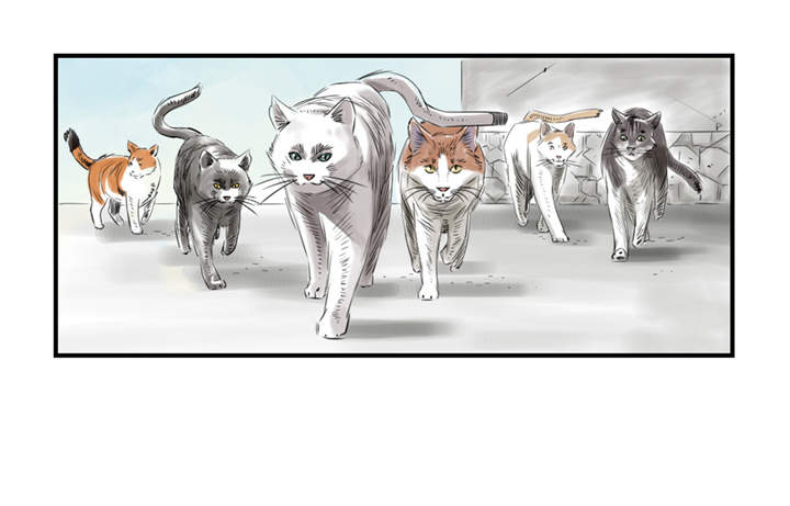 都市兽种漫画,第23章：属于兽种的战役1图