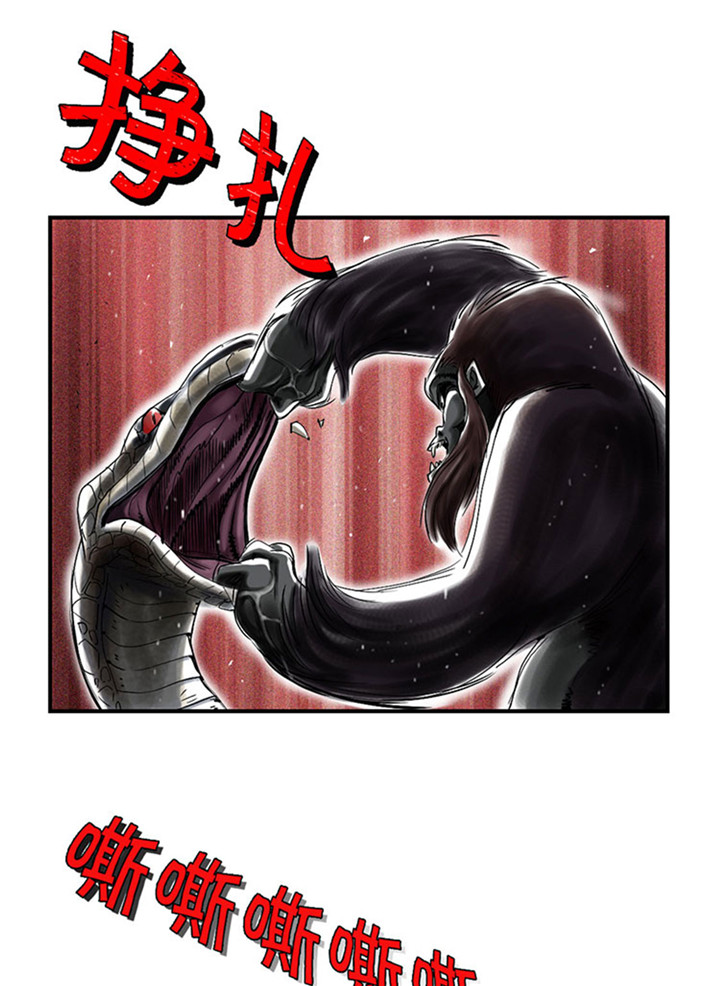 都市之我欲纵横小说漫画,第59章：撕烂你的嘴3图