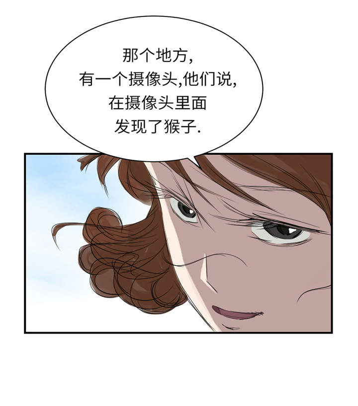 都市兽种漫画,第23章：属于兽种的战役2图