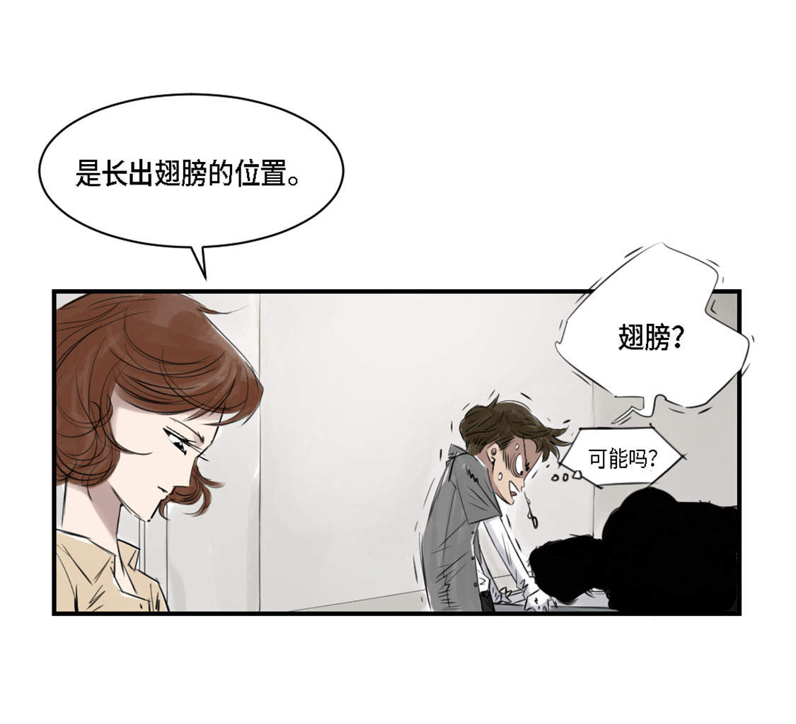 都市之我欲纵横小说漫画,第2章：特别行动队5图