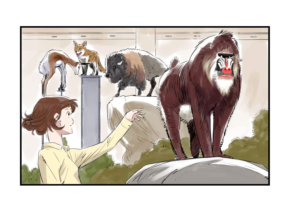 都市兽种漫画,第11章：消失的动物（二）2图