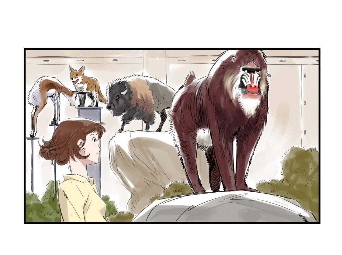 都市兽种漫画,第11章：消失的动物（二）1图