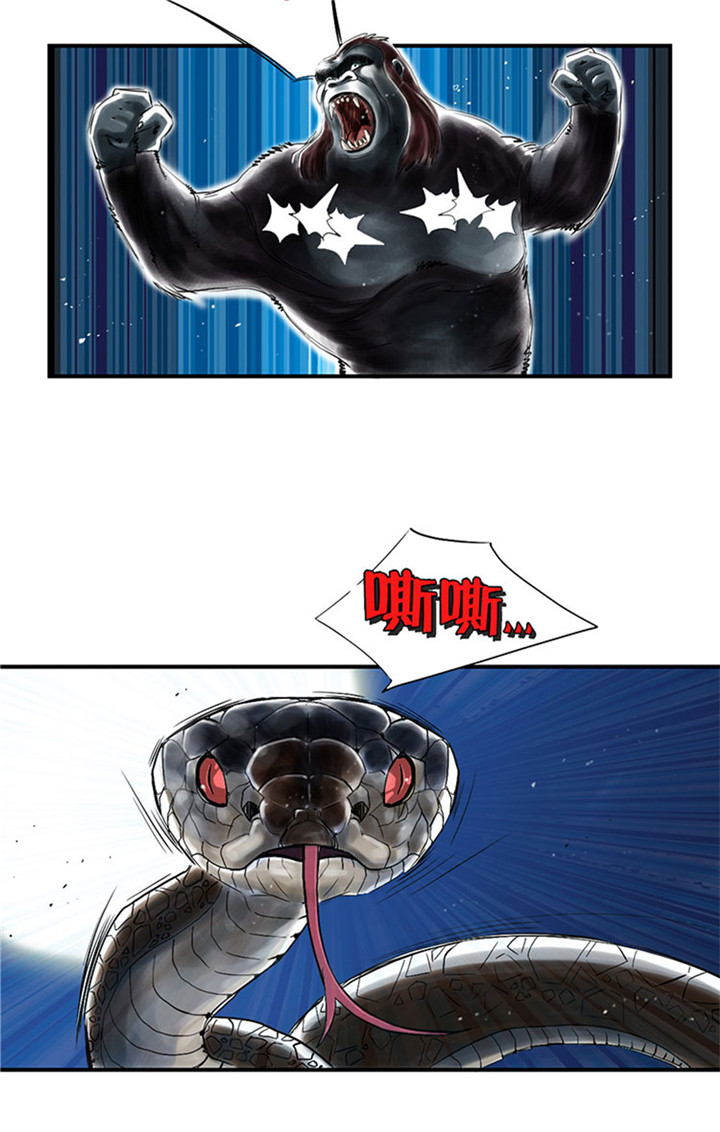 都市之我欲纵横小说漫画,第59章：撕烂你的嘴3图