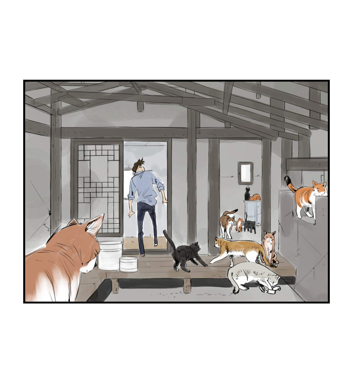 都市小说漫画,第4章：兽种 伴4图