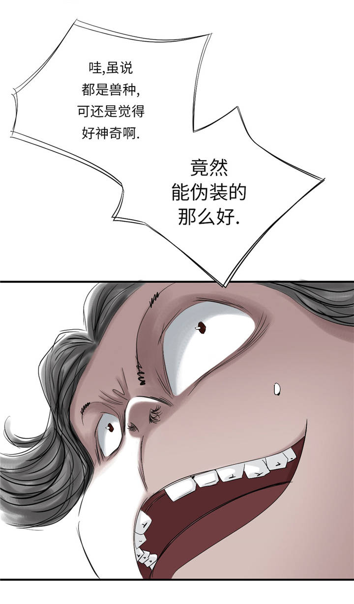 都市妖兽灵兽漫画,第37章：赌上警察生涯1图