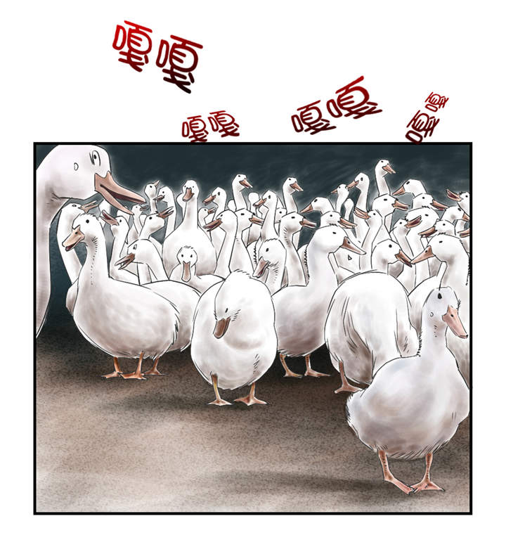 都市兽种漫画,第31章：农场遇袭4图