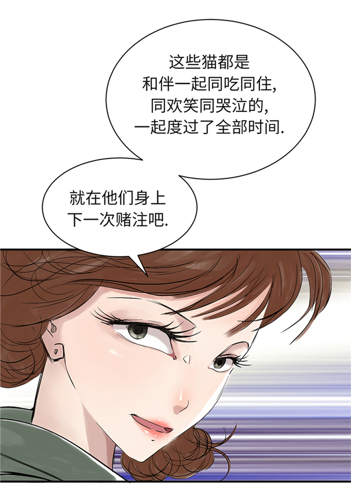 都市小说漫画,第78章：刺杀行动5图