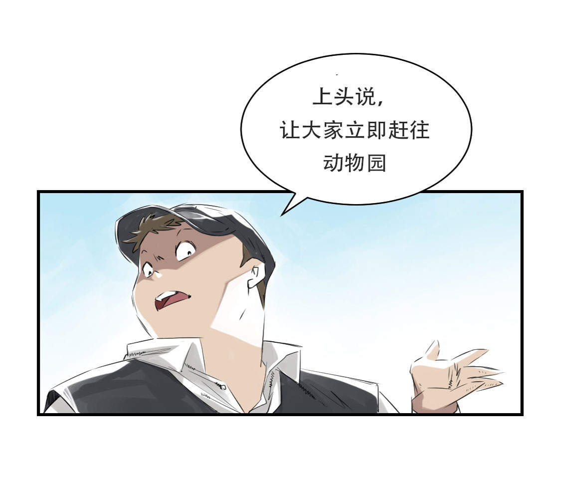都市兽医修真小说漫画,第10章：消失的动物2图