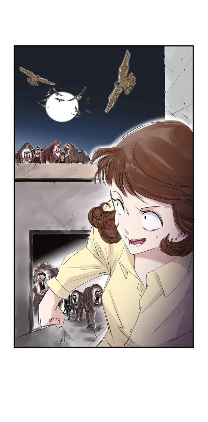 都市兽种漫画,第21章：虎口脱险（二）3图