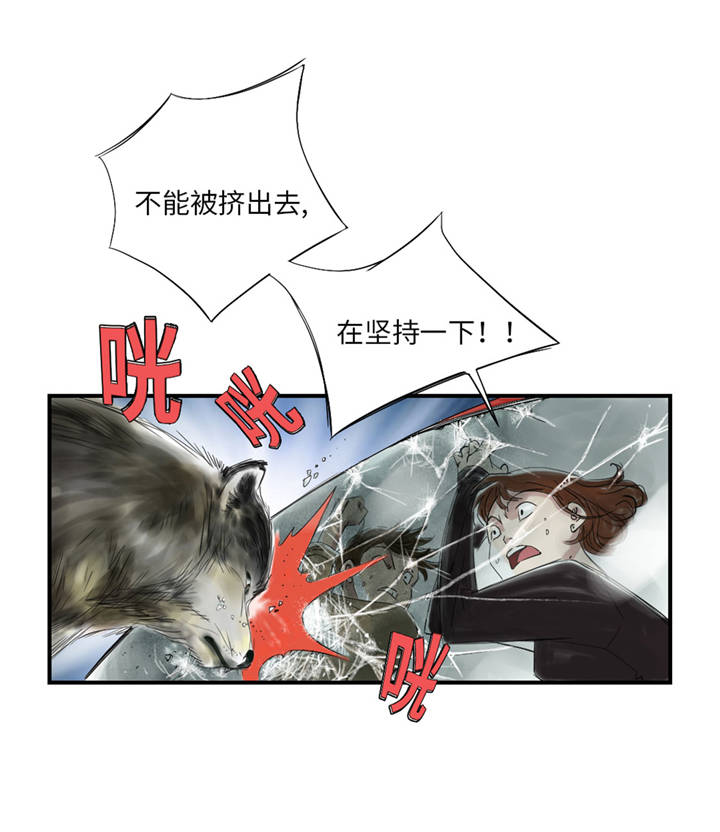 都市传闻漫画,第35章：新兽种5图