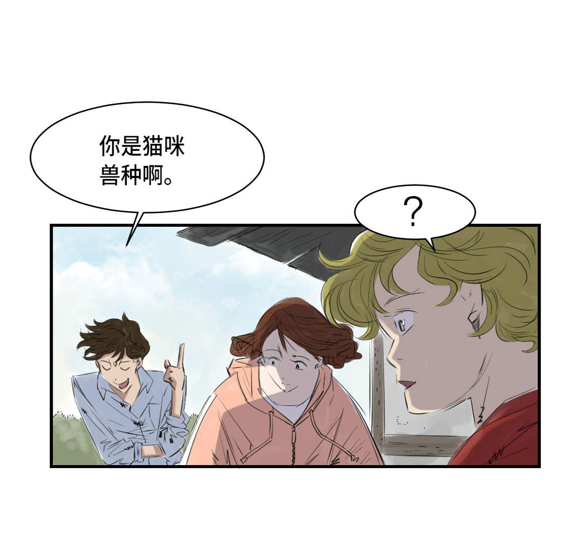 都市小说漫画,第4章：兽种 伴5图