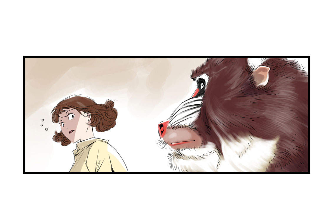 都市兽种漫画,第11章：消失的动物（二）5图