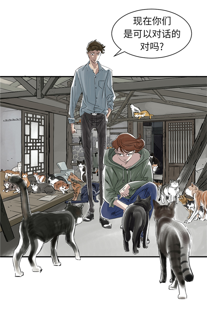 都市兽种漫画,第78章：刺杀行动5图