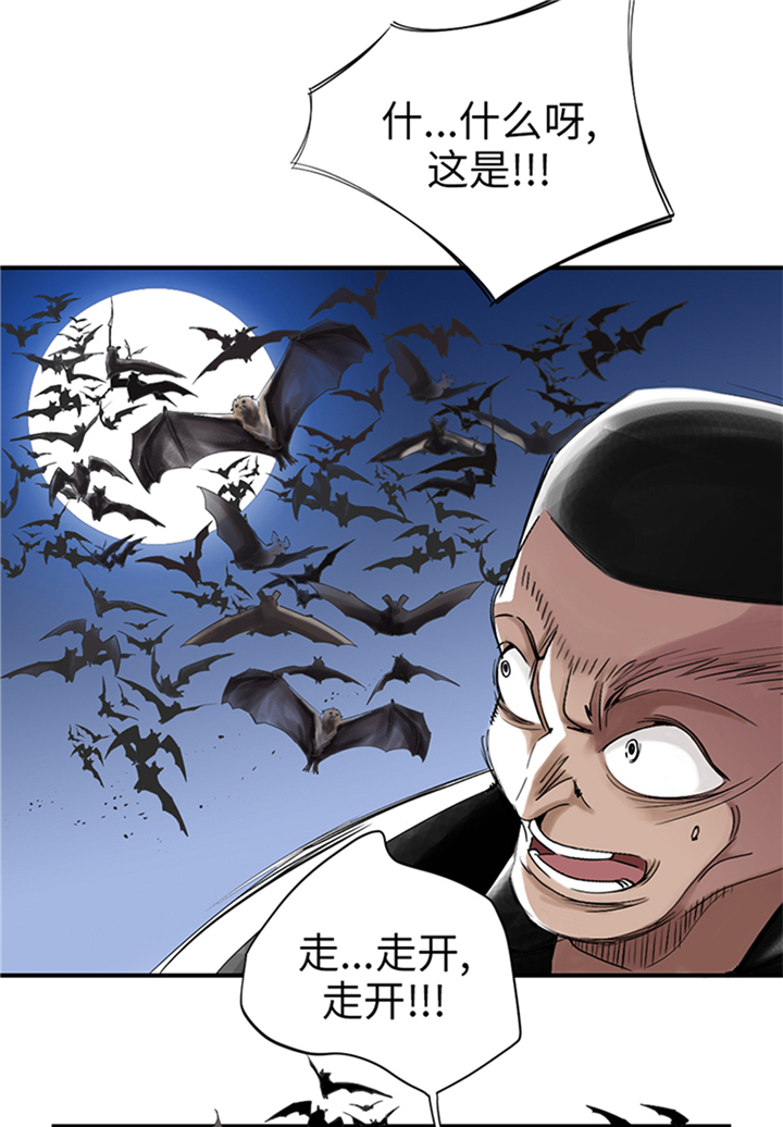 都市小说漫画,第90章：有行动！3图