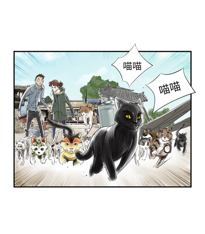 都市小说漫画,第78章：刺杀行动3图