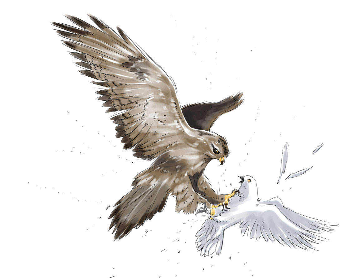 都市小说漫画,第14章： 特别任务2图