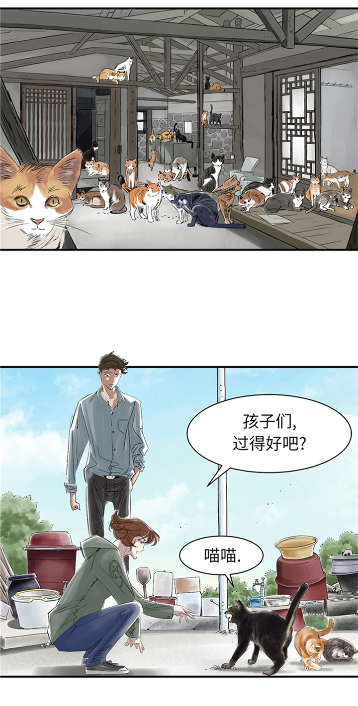 都市兽种漫画,第78章：刺杀行动5图
