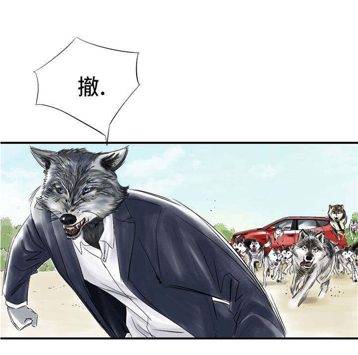 都市之御兽时代漫画,第37章：赌上警察生涯5图