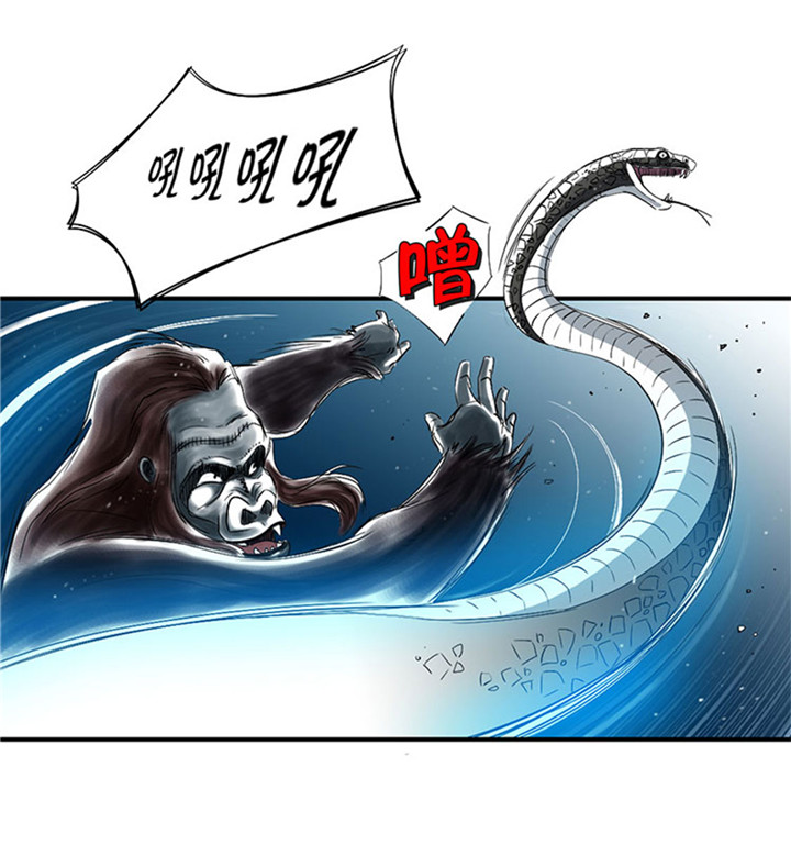 都市之我欲纵横小说漫画,第59章：撕烂你的嘴4图