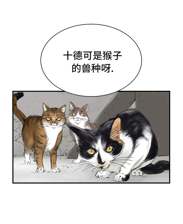 都市兽种漫画,第23章：属于兽种的战役4图