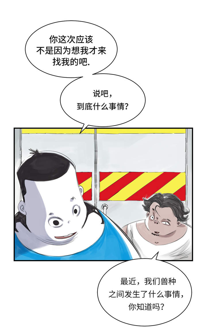 都市兽种漫画,第26章：小猎犬1图