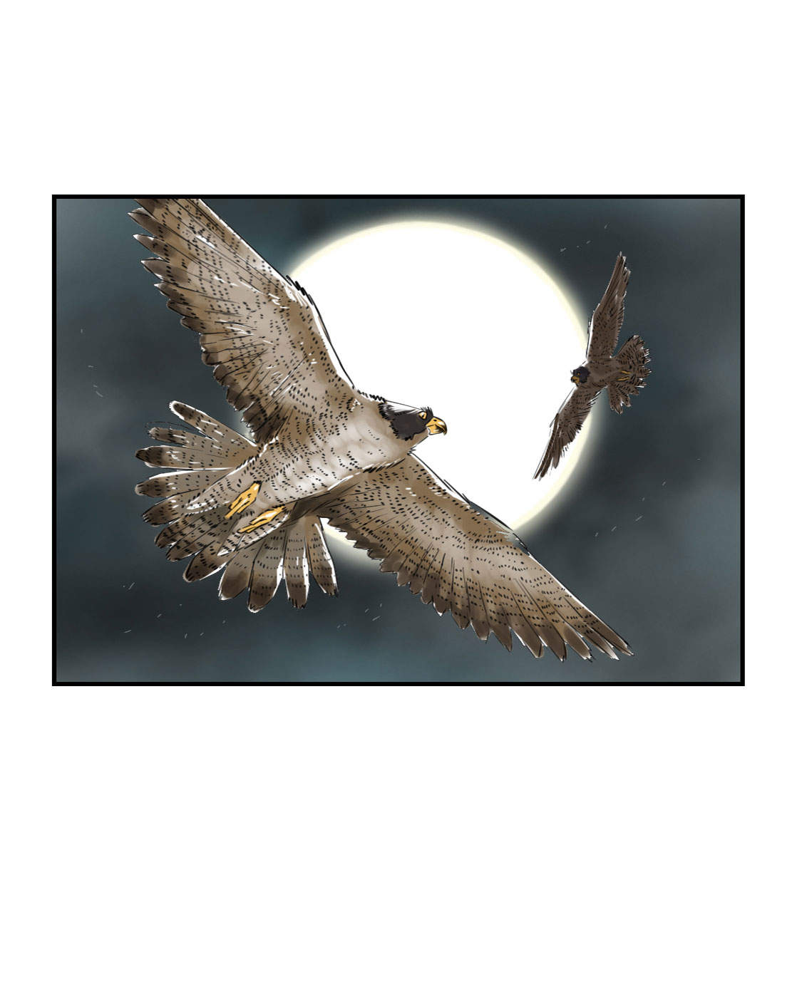 都市小说漫画,第19章：危险时刻（二）1图