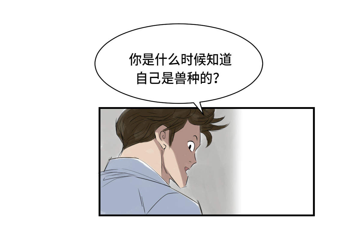 都市小说漫画,第4章：兽种 伴3图