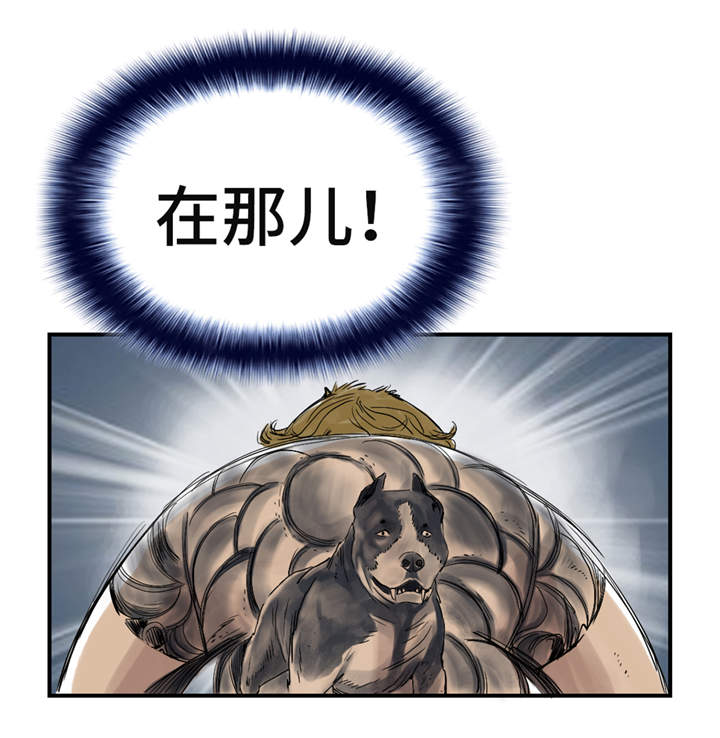 都市兽种漫画,第27章：你不是挺能打的吗4图