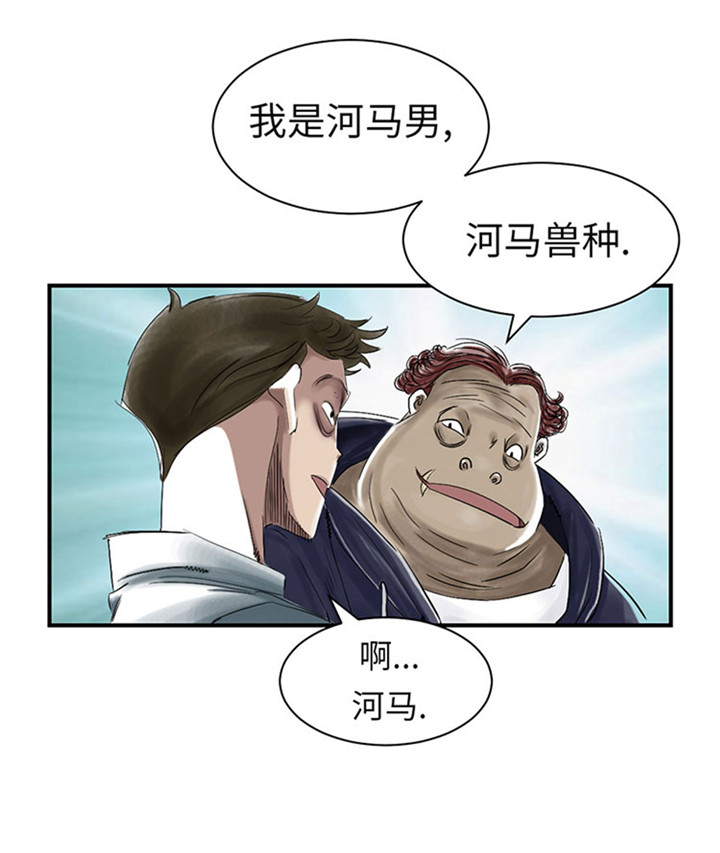 都市之我欲纵横小说漫画,第56章：河马4图