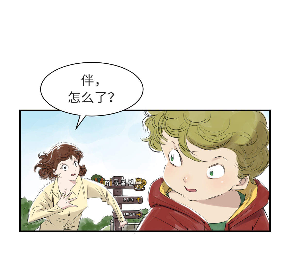 都市兽医小说漫画,第10章：消失的动物5图