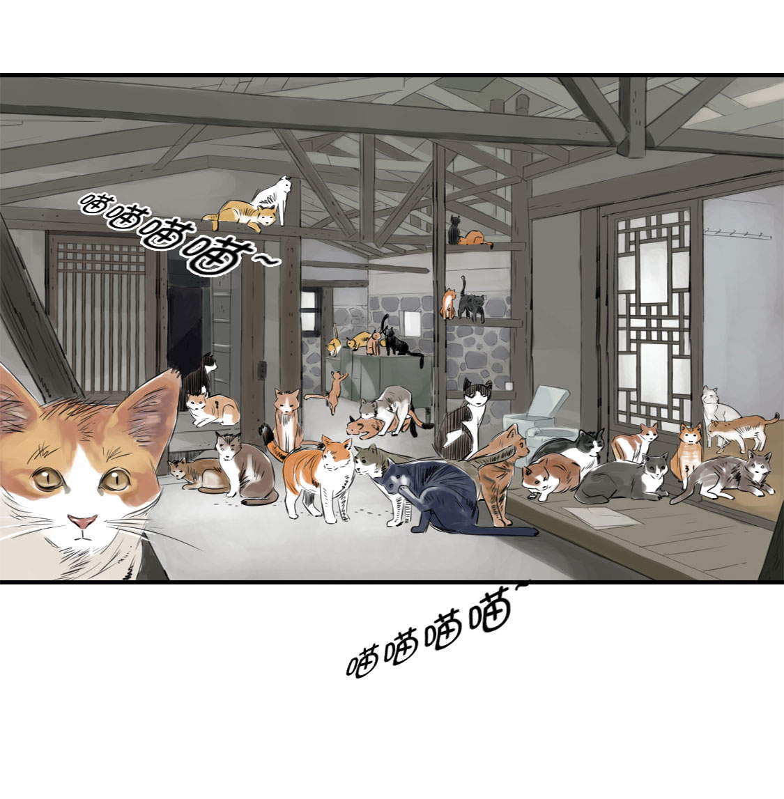 都市小说漫画,第4章：兽种 伴5图