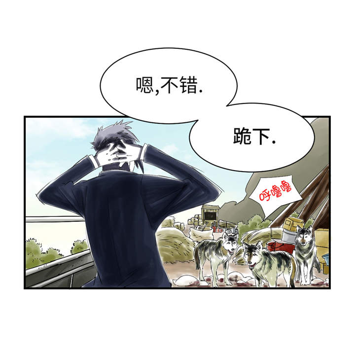 都市兽种漫画,第33章：召唤同伴3图