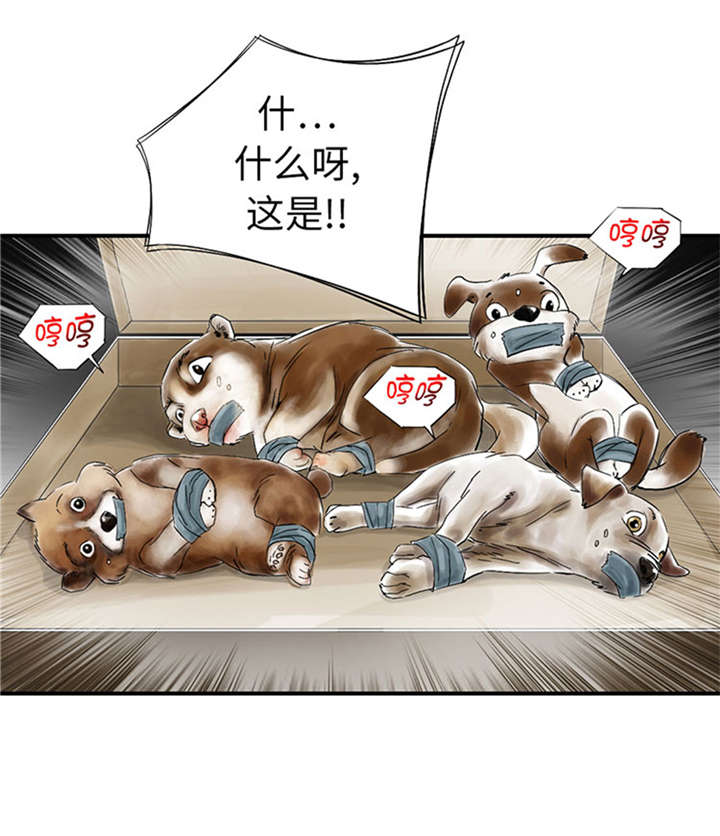 都市之我欲纵横小说漫画,第52章： 惹恼了4图