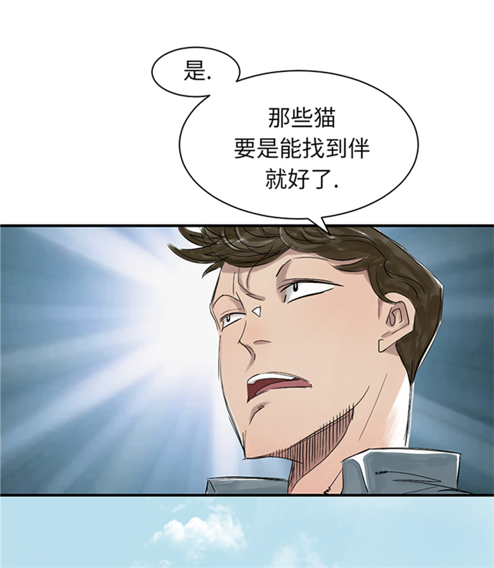 都市小说漫画,第78章：刺杀行动1图
