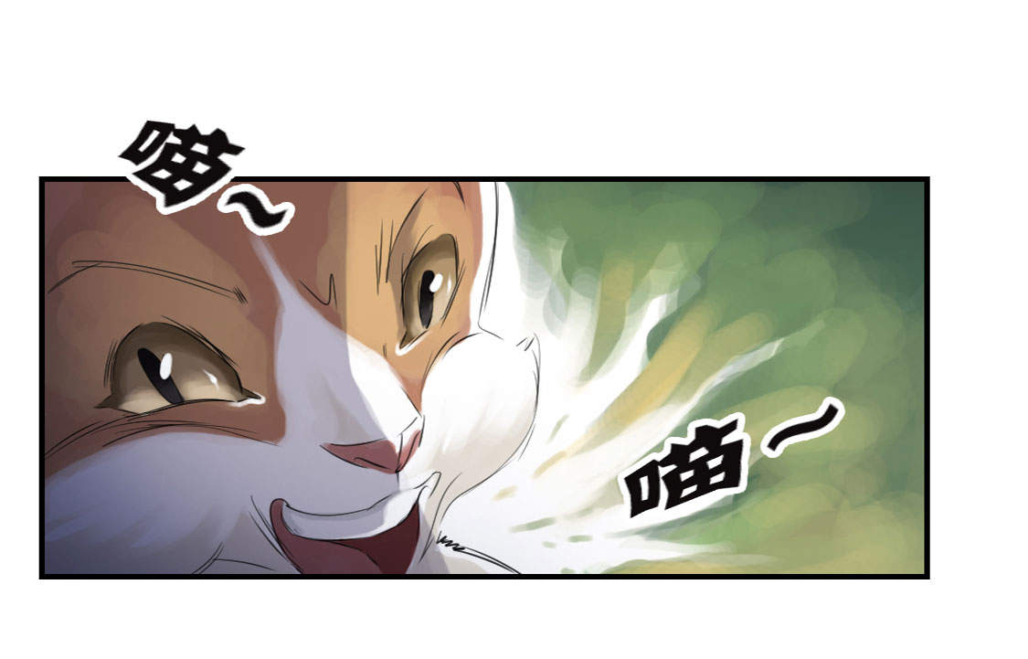 都市小说漫画,第6章： 阴谋的诞生3图